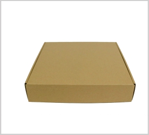 Hộp Carton nắp gài 32x32x6.5cm